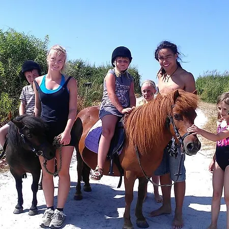 Camp Hverringe Camping *