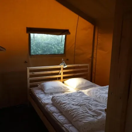 营地 鲱鱼露营地 *