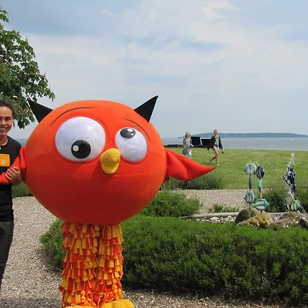 鲱鱼露营地 营地 *