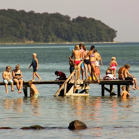 营地 鲱鱼露营地 *