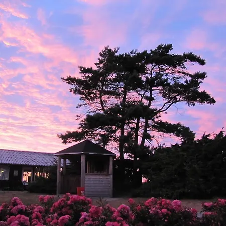 鲱鱼露营地 Dalby