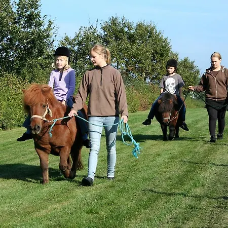 鲱鱼露营地 Dalby