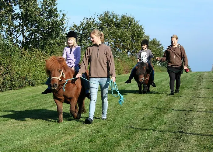 Camp Hverringe Dalby